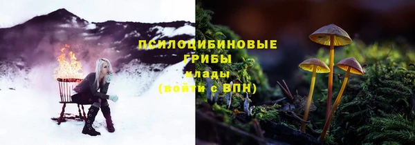 ALPHA-PVP Алексеевка