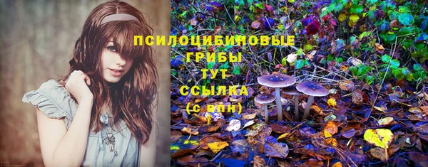 прущие крисы Покровск